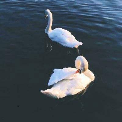 kaiyun·体育app下载