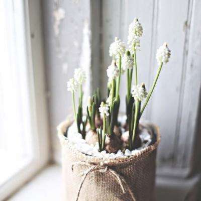 manbetx手机网页登入