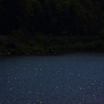 金星棋牌手机app下载