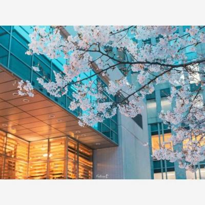 金年会手机app下载