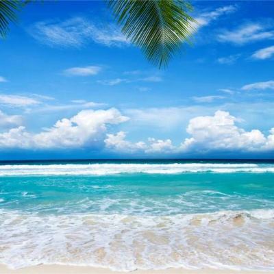 ag真人平台官方app下载