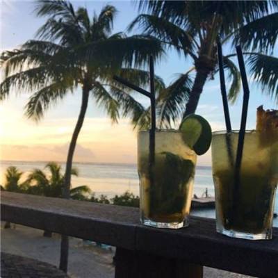 乐鱼官网手机版下载手机版截图