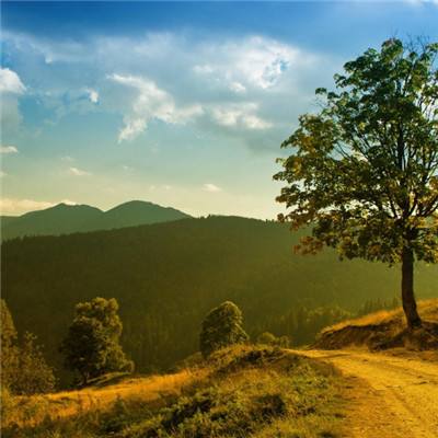 大发黄金版app下载手机app下载