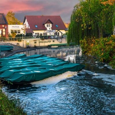 赛博体育下载手机版