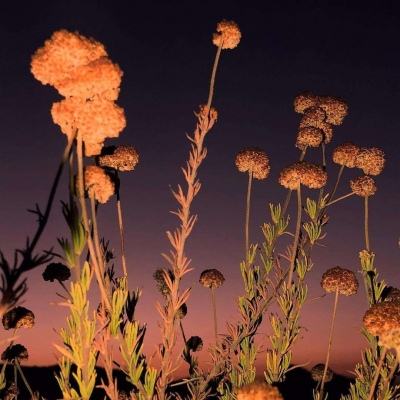 Kaiyun(云开)体育App手机app下载