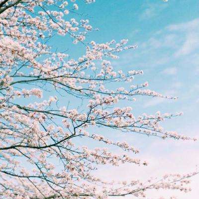 大众彩票app最新版下载